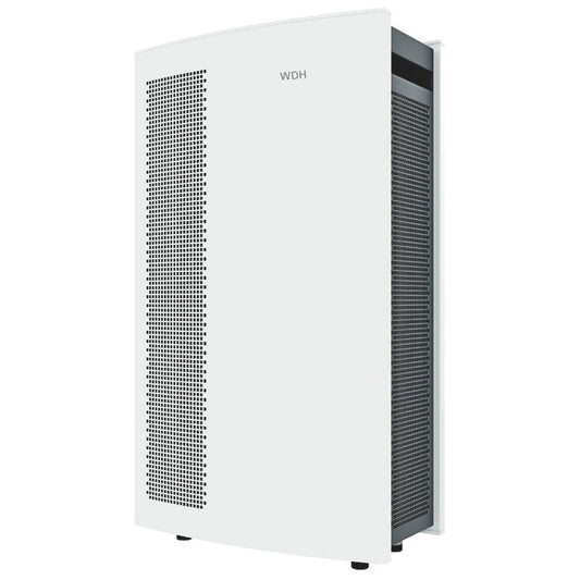 Luftreiniger mit Ionisator WDH-H6